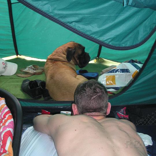 2004 Zeeland (2).JPG - Samen met zijn baasje in de tent